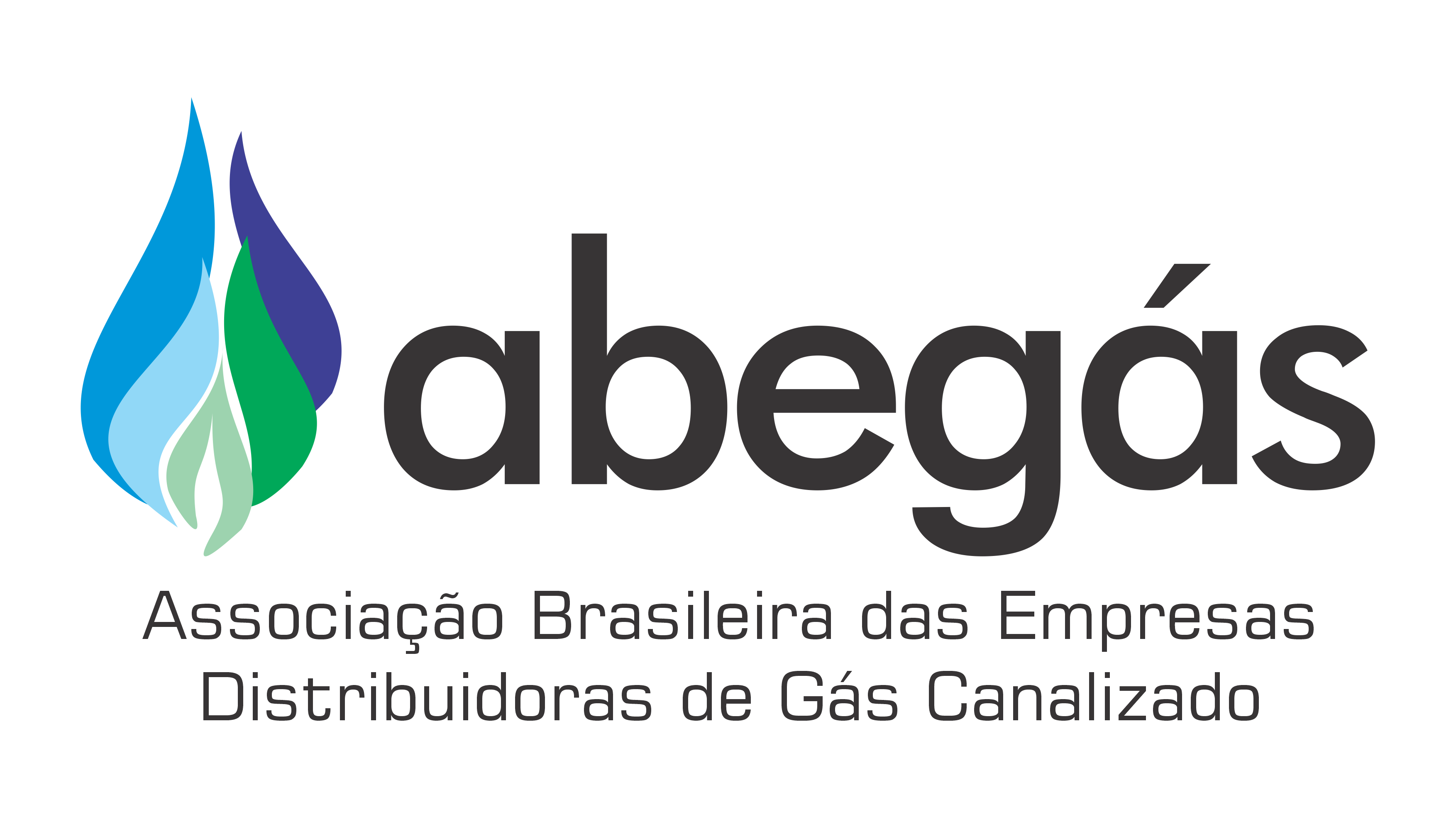 logo TAE